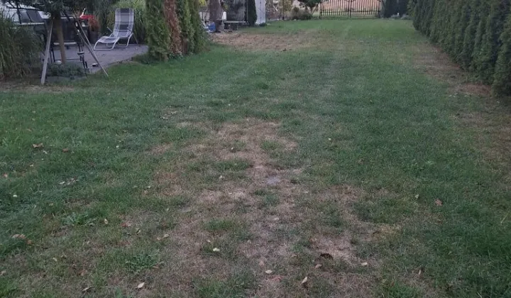 Działka rolno-budowlana Niewęgłosz