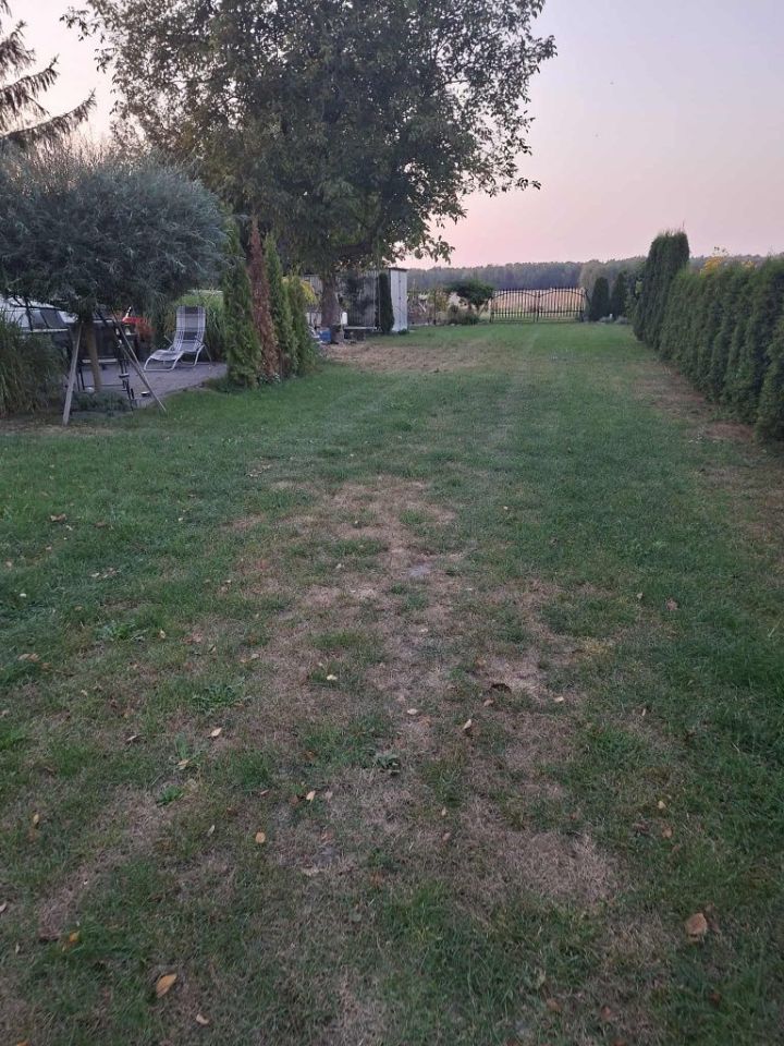 Działka rolno-budowlana Niewęgłosz