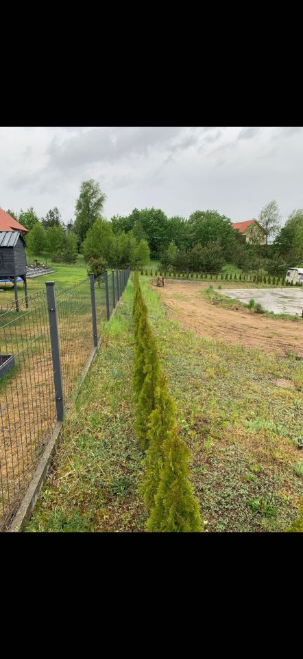 Działka budowlana Biskupiec-Kolonia Pierwsza. Zdjęcie 7