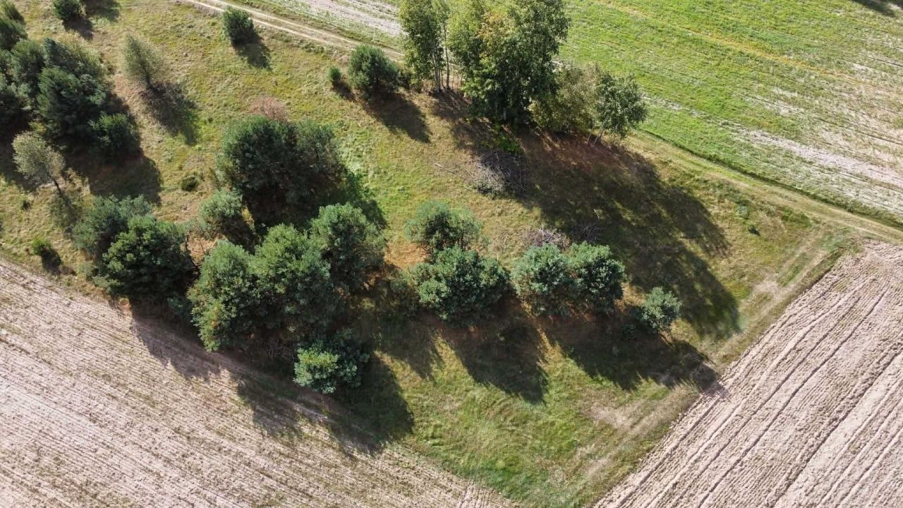 Działka budowlana Wólka Mlęcka. Zdjęcie 3