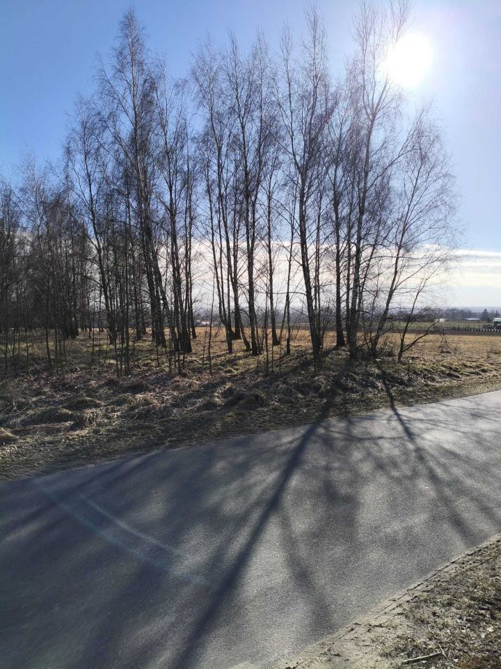 Działka budowlana Beleń-Kolonia. Zdjęcie 2