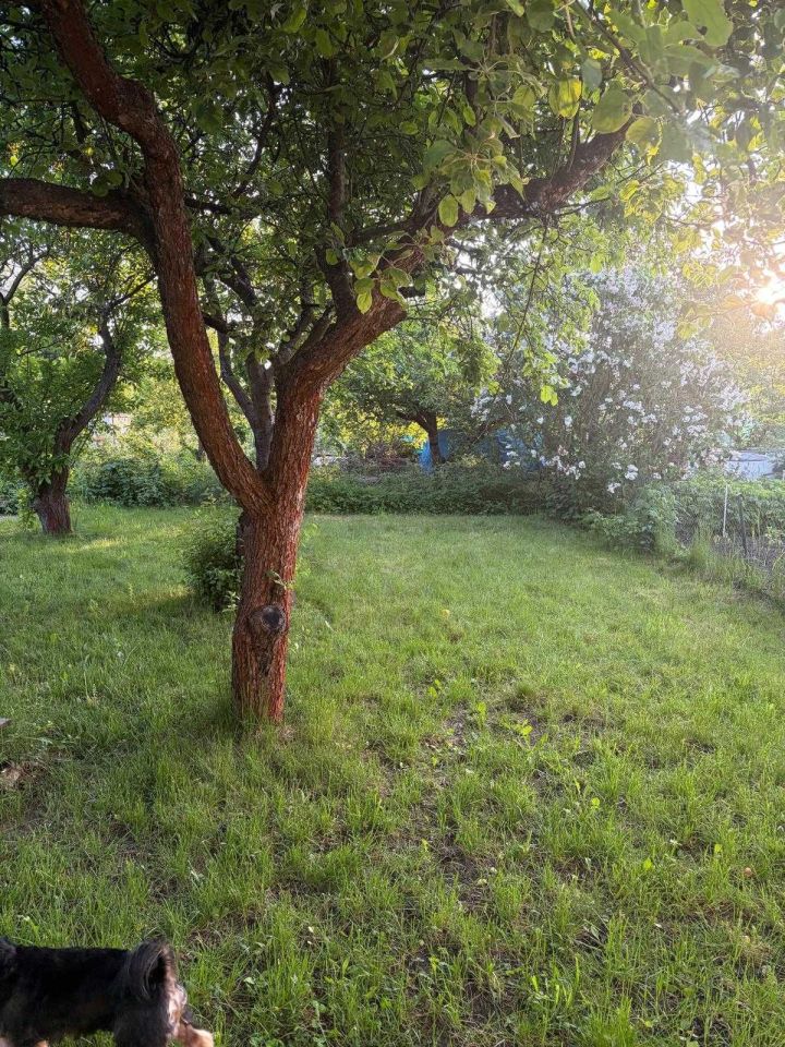 Działka rod Gorzów Wielkopolski. Zdjęcie 8