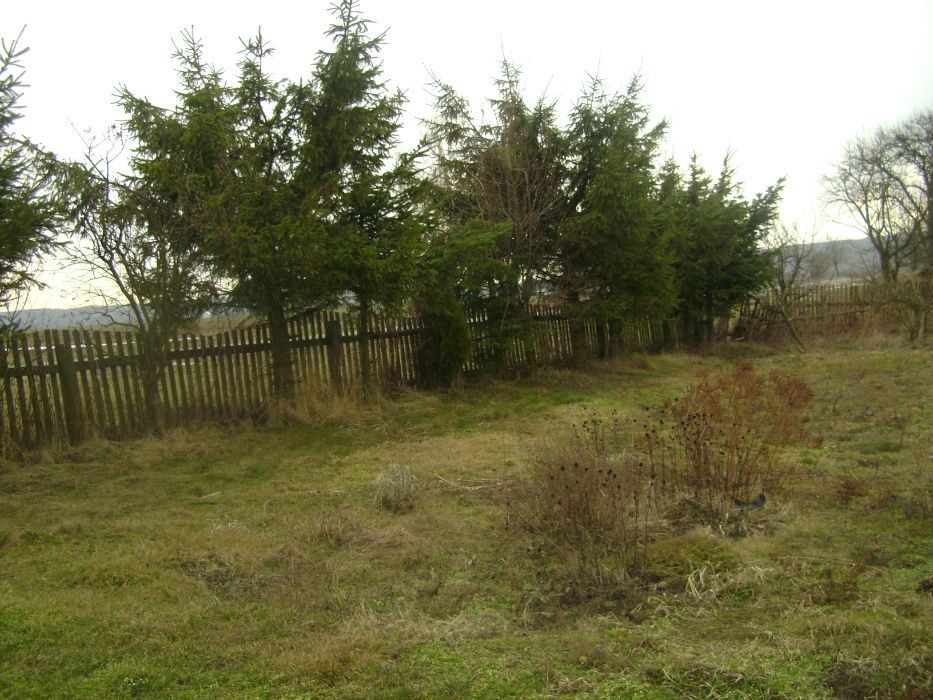 Działka rolno-budowlana Zwola. Zdjęcie 6