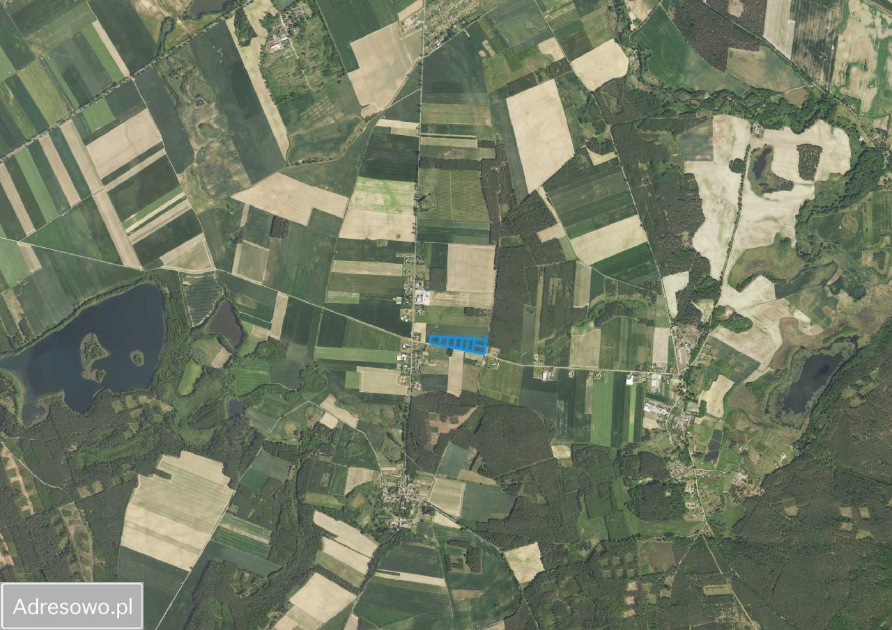 Działka rolno-budowlana Słonów. Zdjęcie 5