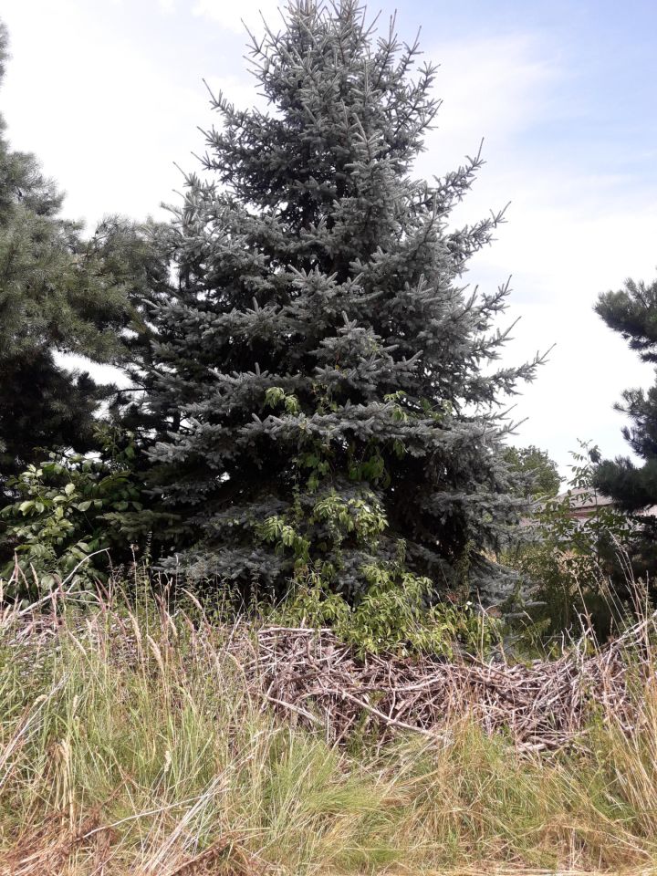 Działka rolno-budowlana Sobianowice. Zdjęcie 8