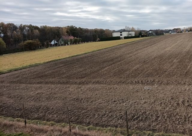 Działka budowlana Pisarzowice, ul. Modrzewiowa. Zdjęcie 1