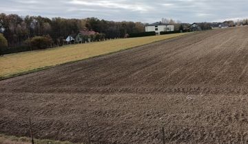 Działka budowlana Pisarzowice, ul. Modrzewiowa