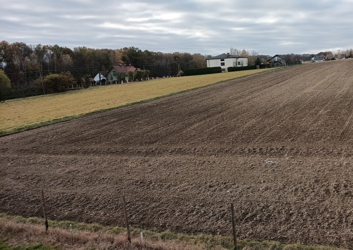 Działka budowlana Pisarzowice, ul. Modrzewiowa