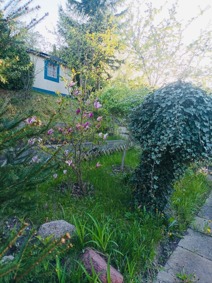 Działka rod Gdańsk Morena. Zdjęcie 6