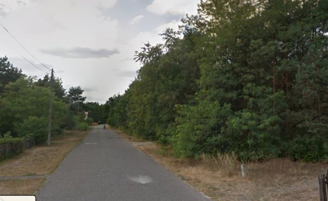 Działka leśna Rudnik nad Sanem, ul. Kończycka. Zdjęcie 3