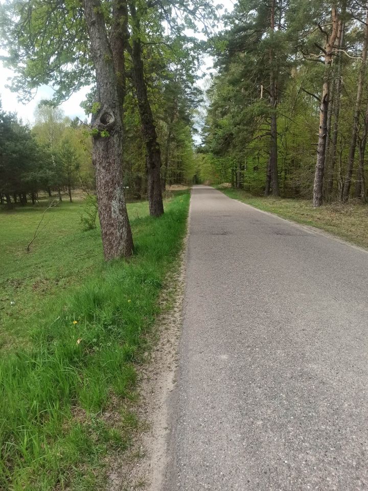 Działka rolno-budowlana Warniłęg. Zdjęcie 5