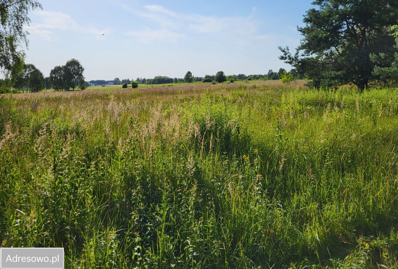 Działka budowlana Własna. Zdjęcie 14