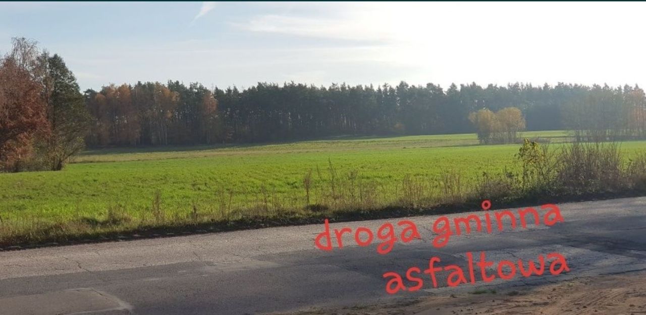 Działka budowlana Wymysłowo. Zdjęcie 4