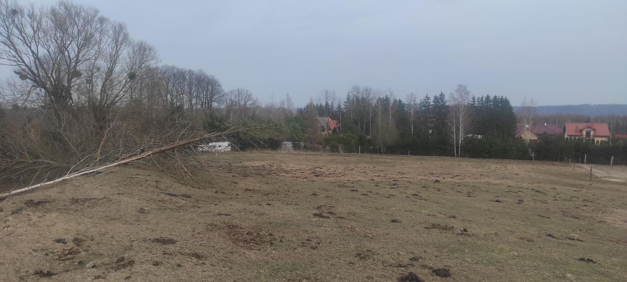 Działka budowlana Lauda. Zdjęcie 5