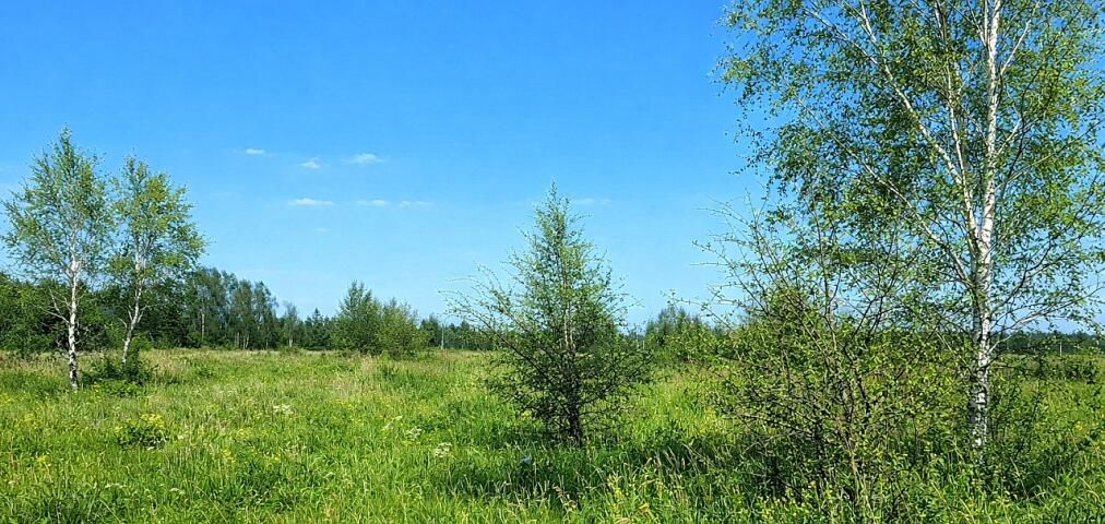 Działka budowlana Stary Borek, Spacerowa. Zdjęcie 7