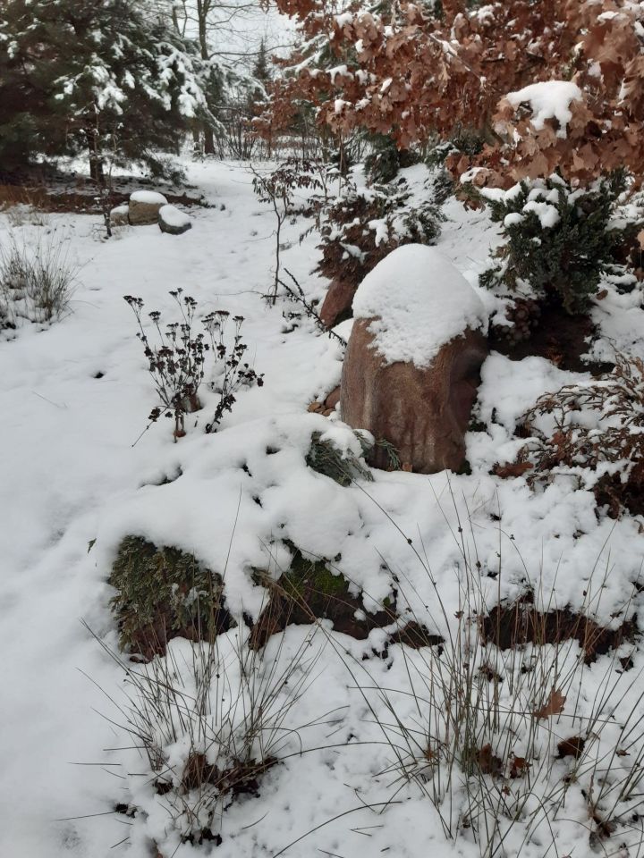 Działka budowlana Podbiel Krupińskie, Sosnowa. Zdjęcie 41