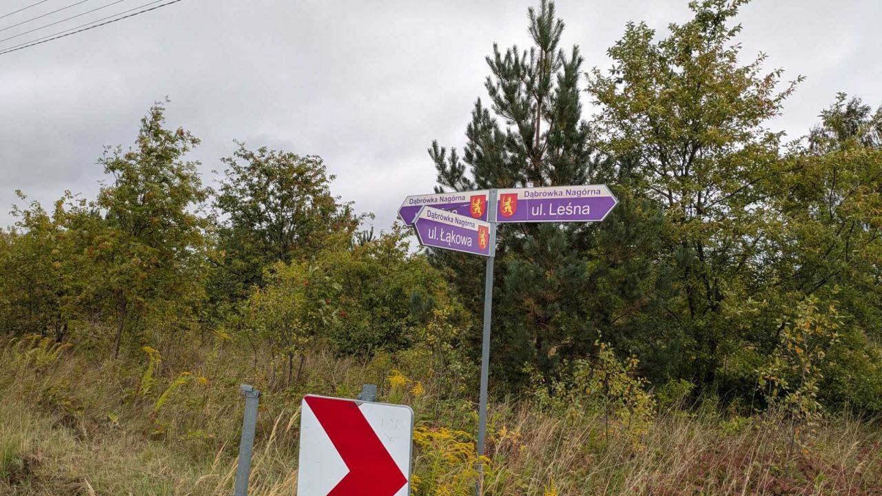 Działka budowlana Dąbrówka Nagórna-Wieś, ul. Leśna. Zdjęcie 3