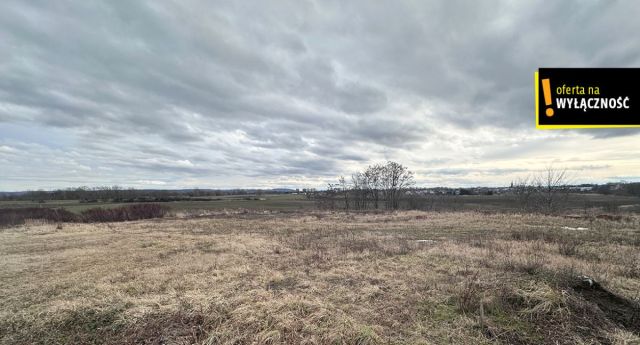 Działka inwestycyjna Racibórz, ul. Podmiejska. Zdjęcie 5
