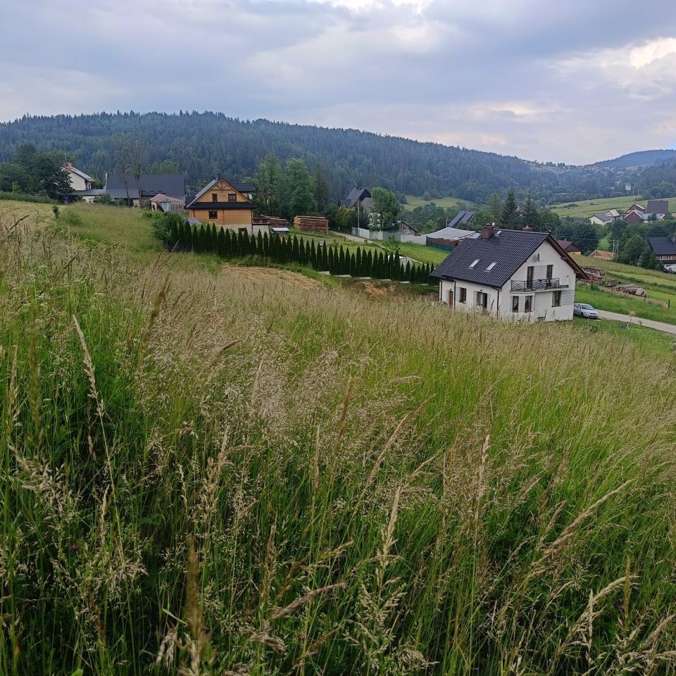 Działka rolno-budowlana Sidzina. Zdjęcie 1