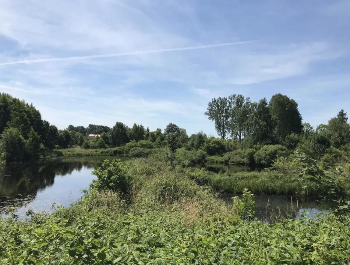 Działka rolno-budowlana Bałamątek, ul. Spacerowa. Zdjęcie 2