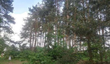 Działka rolna Szczudłów