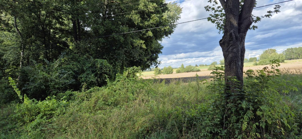 Działka rolno-budowlana Słomków Bażantarnia, ul. Główna. Zdjęcie 3