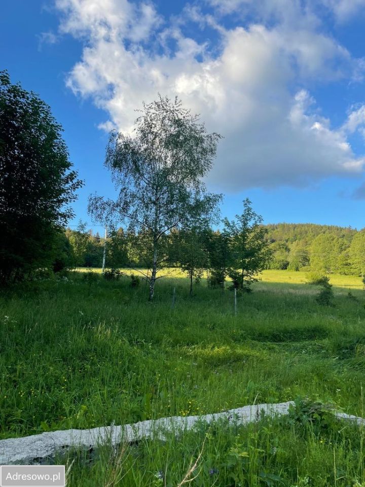 Działka budowlana Rzeczka. Zdjęcie 7