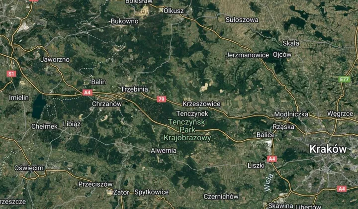 Działka rolna Wola Filipowska Zielona