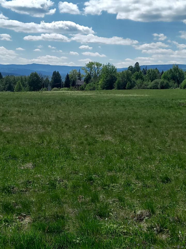 Działka rolno-budowlana Grudza. Zdjęcie 2