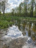 Działka budowlana Pogobie Średnie. Zdjęcie 4
