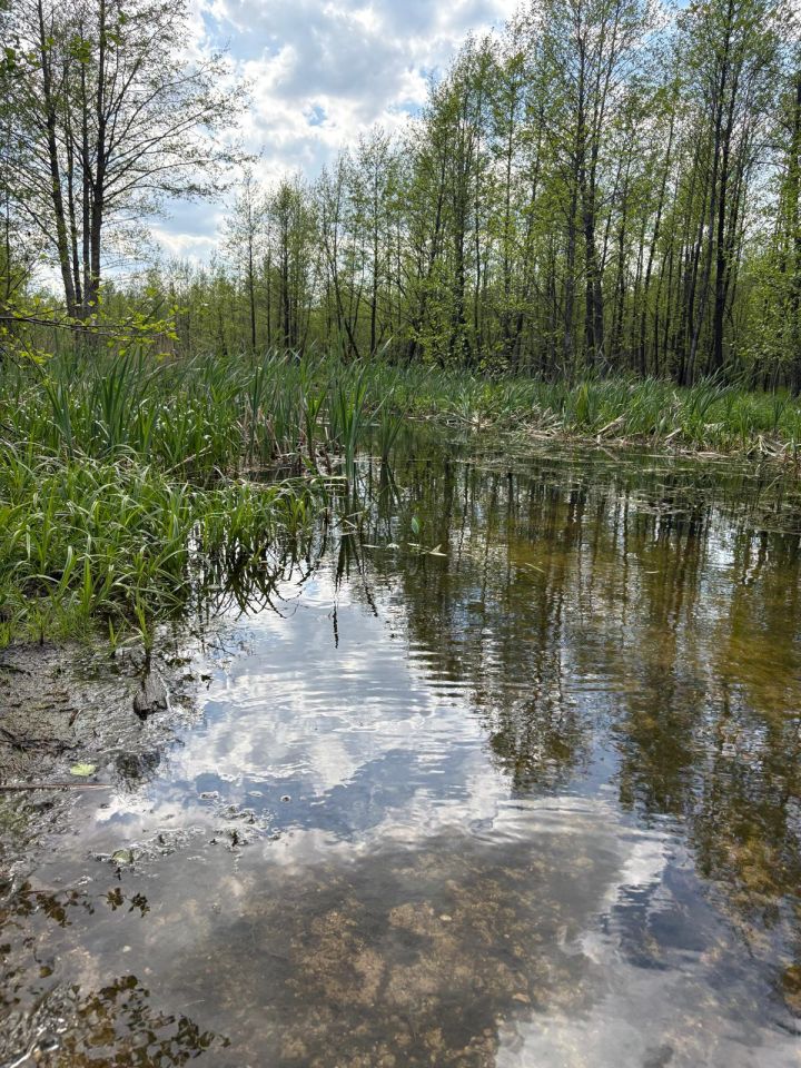 Działka budowlana Pogobie Średnie. Zdjęcie 5