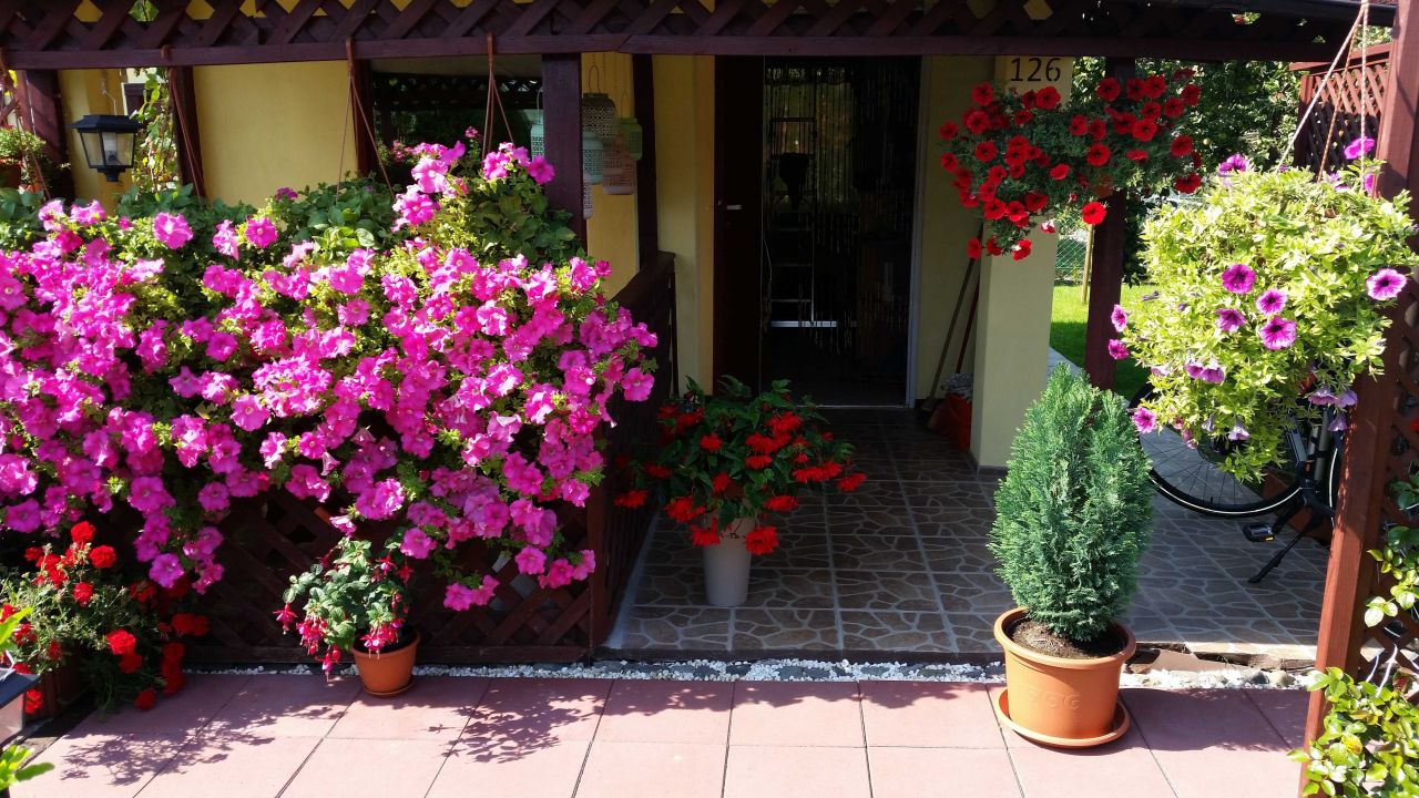 Działka rod Stare Bielice. Zdjęcie 6