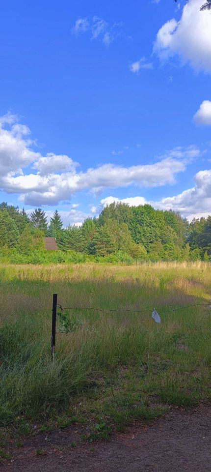 Działka budowlana Stare Załubice. Zdjęcie 2