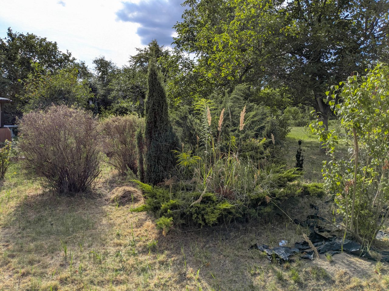 Działka rod Radom Wacyn, ul. Przytycka. Zdjęcie 4