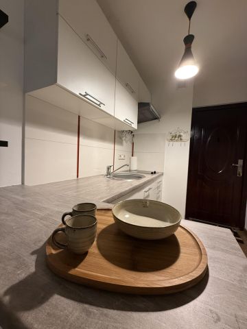 Mieszkanie 1-pokojowe Warszawa Sielce, ul. Czerniakowska. Zdjęcie 9