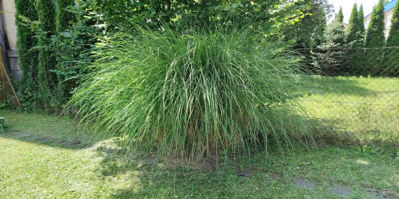 dom wolnostojący, 4 pokoje Jasło, ul. Fryderyka Chopina. Zdjęcie 10