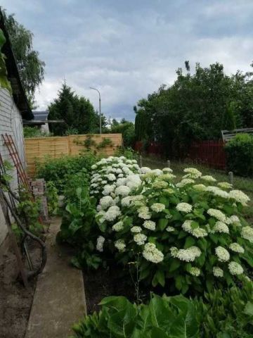 Działka rod Warszawa Zacisze, ul. Krzesiwa. Zdjęcie 3