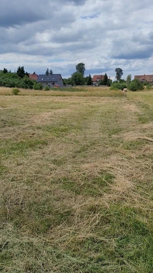 Działka Olszyniec. Zdjęcie 2