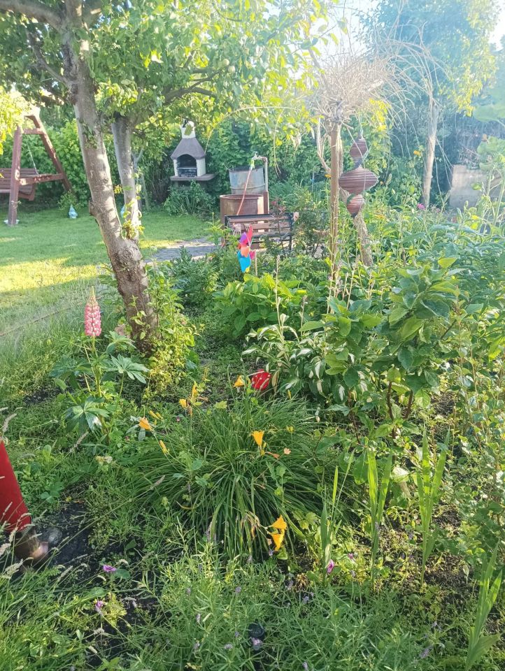 Działka rod Grajewo. Zdjęcie 4