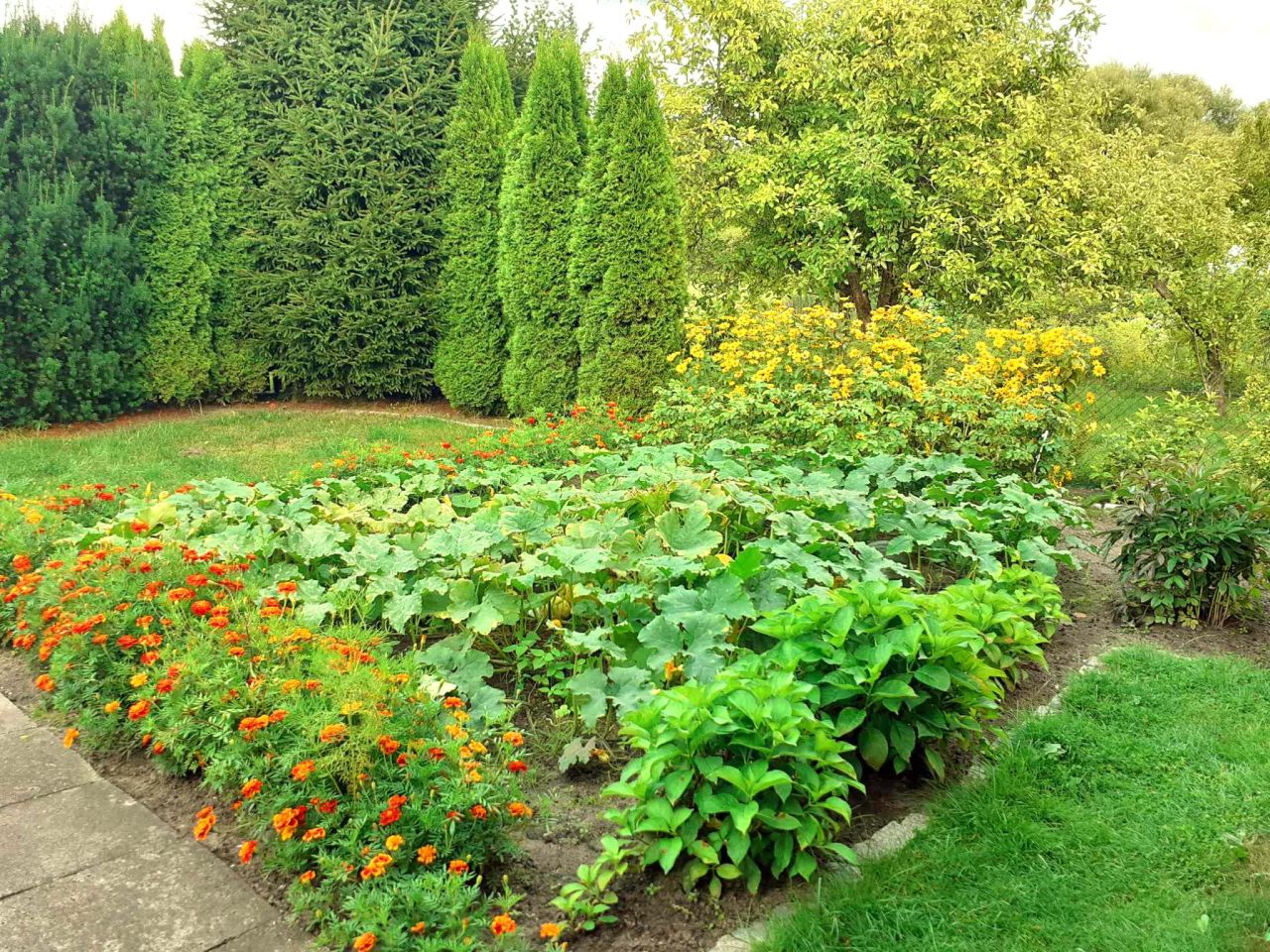 Działka rod Białystok Dojlidy, ul. Dojnowska. Zdjęcie 9