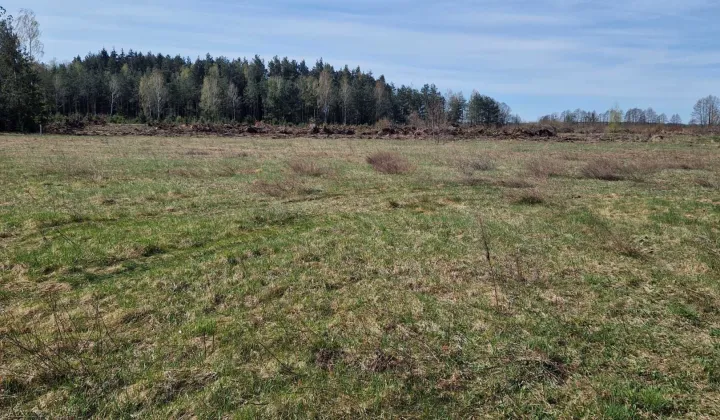 Działka rolna Bogdany Wielkie