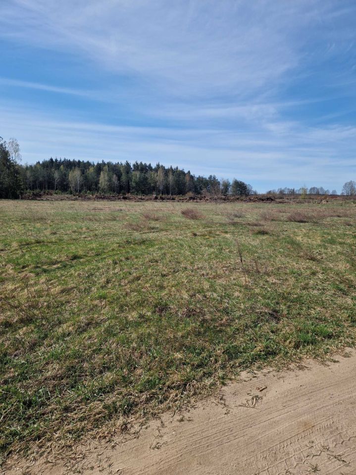 Działka rolna Bagienice. Zdjęcie 1