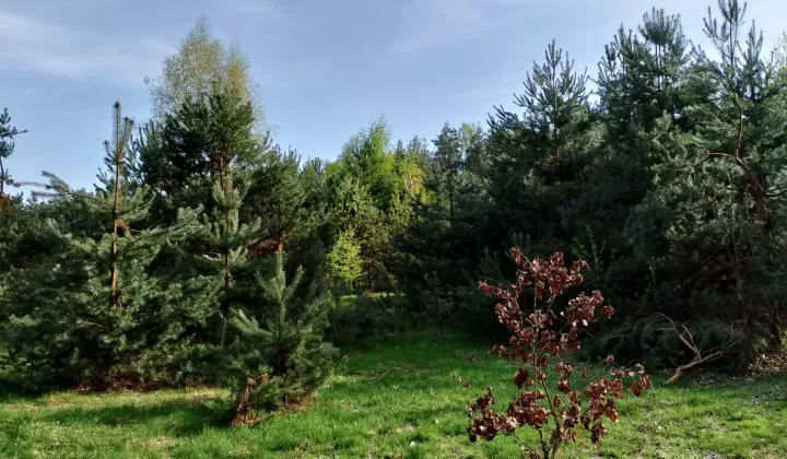Działka budowlana Nowa Wieś