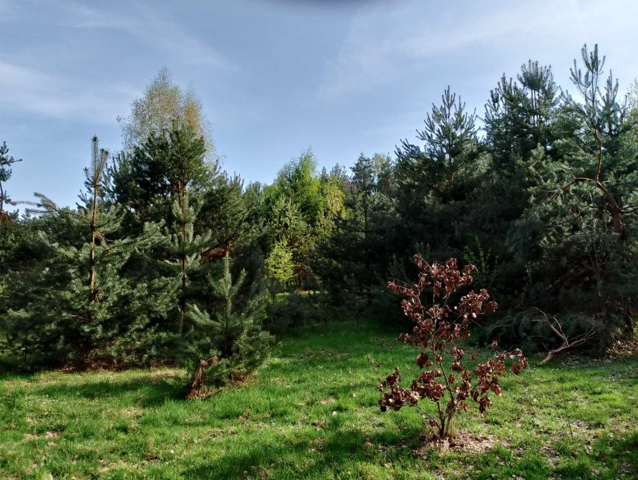 Działka budowlana Nowa Wieś. Zdjęcie 1