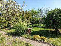 Działka rod Ziemnice, ul. Legnicka. Zdjęcie 3