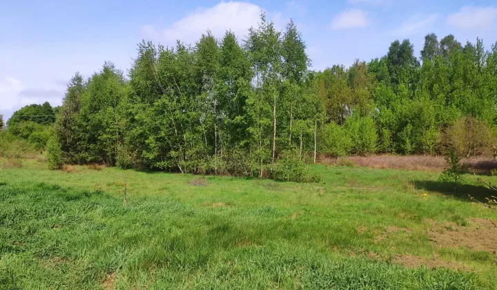 Działka budowlana Krasnołęka