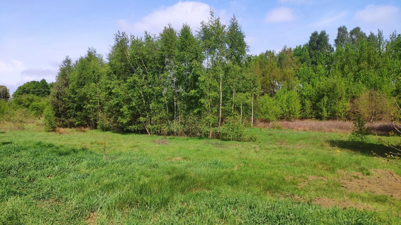 Działka budowlana Krasnołęka