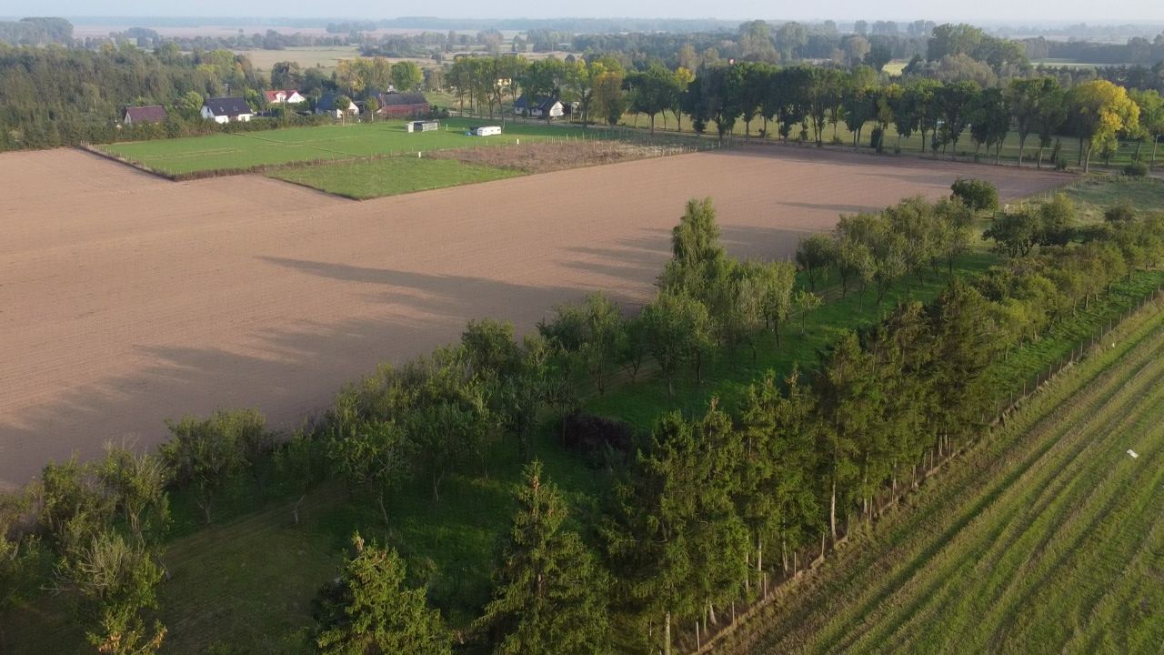 Działka rolno-budowlana Jarszewo. Zdjęcie 15
