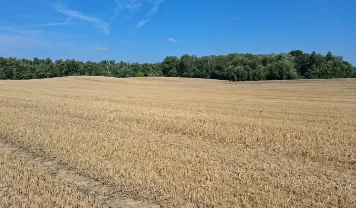 Działka rolna Smuga