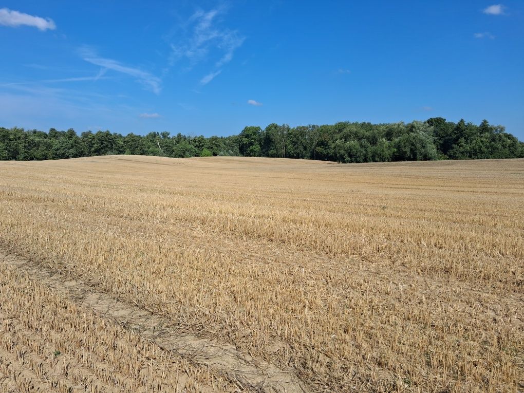 Działka rolna Smuga. Zdjęcie 1